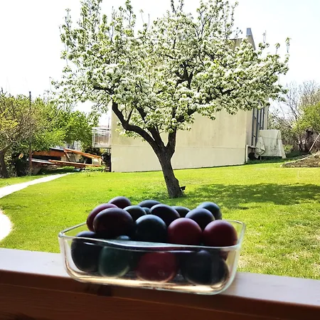 Πανσιόν ,,лозница гт