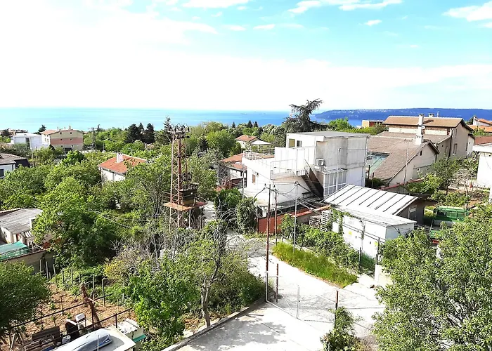 ,,лозница гт